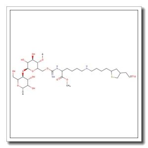 Biotin-dextran MW 10000