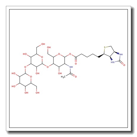 Biotinylated Linear B trisaccharide
