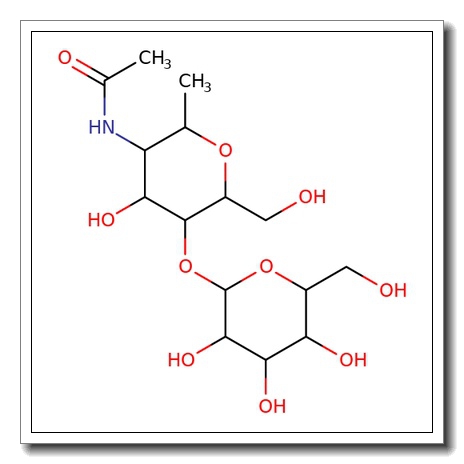 N-Acetyl-D-lactosamine-BSA (14 atom spacer)