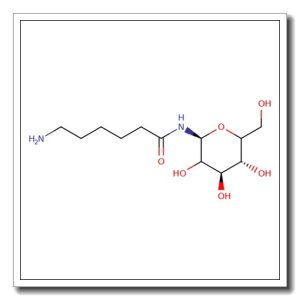 N-(e-Aminocaproyl)-a-D-galactopyranosyl amine