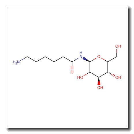 N-(e-Aminocaproyl)-a-D-galactopyranosyl amine