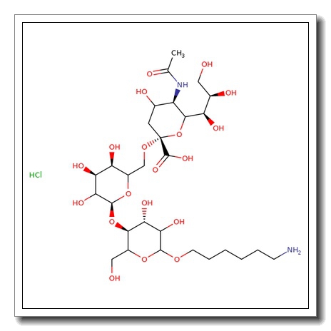 1-O-Aminohexyl 6′-sialyllactose hydrochloride