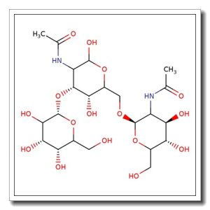 2-Acetamido-6-O-(2-acetamido-2-deoxy-b-D-galactopyranosyl)-2-deoxy-3-O-(b-D-galactopyranosyl)-D-glucopyranose