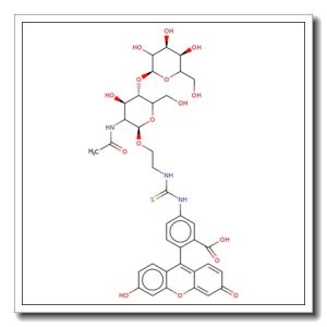 N-Acetyl-D-lactosamine ethyl fluorescein 5-thiourea