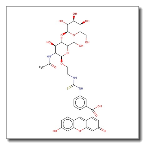 N-Acetyl-D-lactosamine ethyl fluorescein 5-thiourea