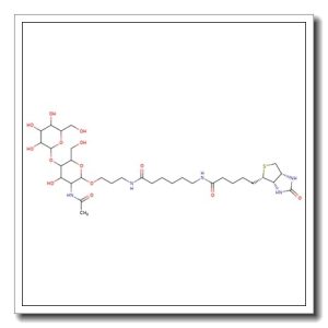 N-Acetyl-D-lactosamine-sp-biotin