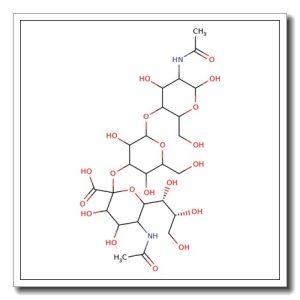 3′-N-Acetylneuraminyl-N-acetyllactosamine HSA