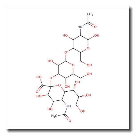 3′-N-Acetylneuraminyl-N-acetyllactosamine HSA