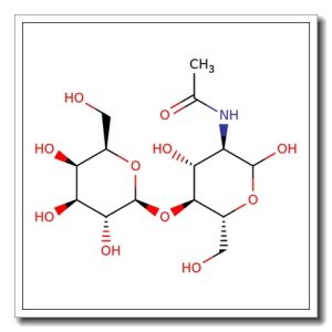 2-Acetamido-2-deoxy-4-O-(b-D-galactofuranosyl)-D-glucopyranose