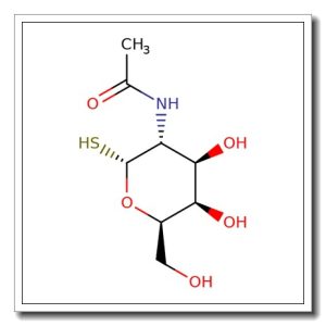 2-Acetamido-2-deoxy-a-D-thiogalactopyranose
