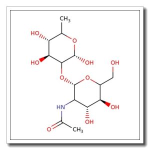 2-O-(2-Acetamido-2-deoxy-b-D-glucopyranosyl)-L-fucopyranose