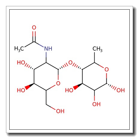 4-O-(2-Acetamido-2-deoxy-b-D-glucopyranosyl)-L-fucopyranose