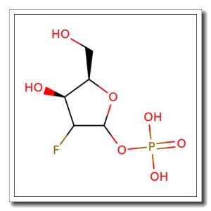 2-Deoxy-2-fluoro-D-arabinofuranose-1-phosphate
