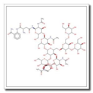 Hybrid Glycan, 2-AB labelled