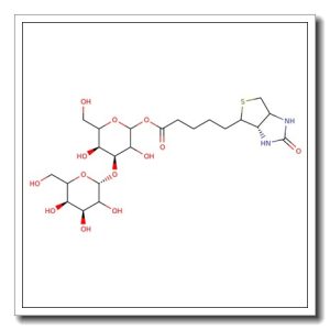 a1-3-Galactobiose-biotin