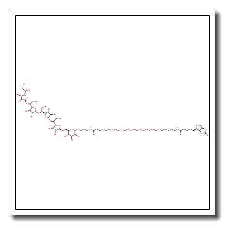 Galactofuranose pentasaccharide PEG6-NH-sp-biotin