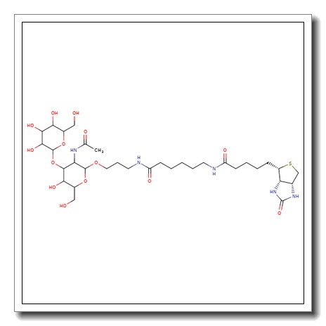Galacto-N-biose-sp-biotin
