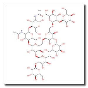 Man-7D3 N-Glycan