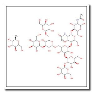 Man-7 N-Glycan