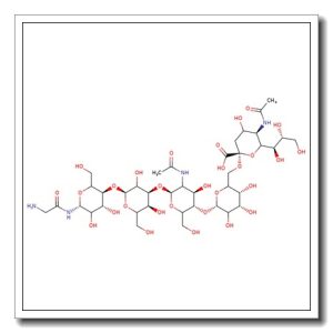 Glycyl-sialyllacto-N-tetraose c