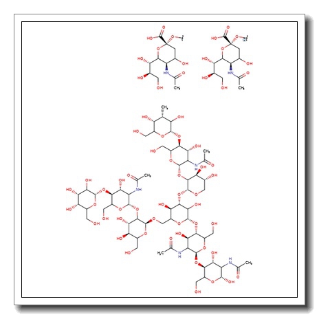 A2 Glycan, 2-AB labelled