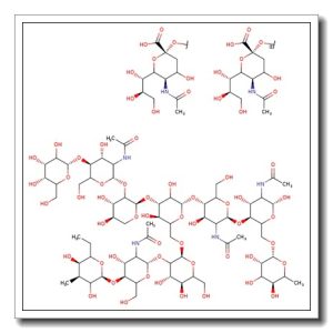A2F Glycan, 2-AB labelled