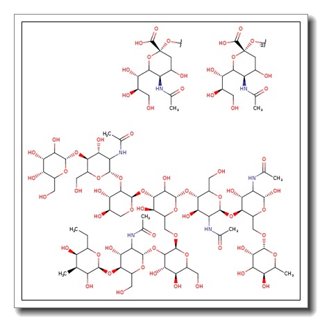 A2F Glycan, 2-AB labelled