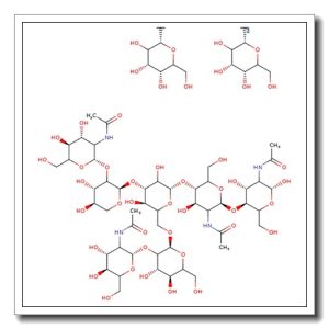 A2G1 Glycan, 2-AB labelled