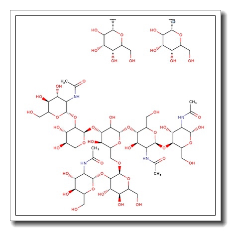 A2G1 Glycan, 2-AB labelled