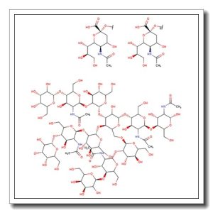 A3 Glycan, 2-AB labelled