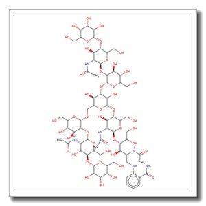 NA2 Glycan, 2-AB labelled
