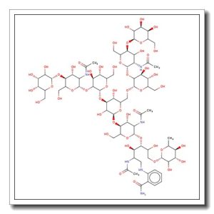 NA2F Glycan, 2-AB labelled