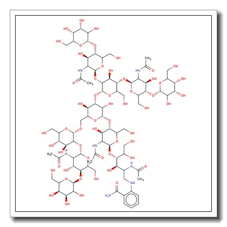 NA3 Glycan, 2-AB labelled