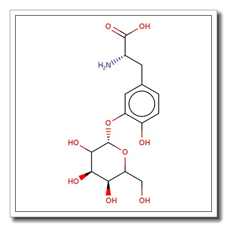 3′-O-(b-D-Glucopyranosyl)-L-DOPA