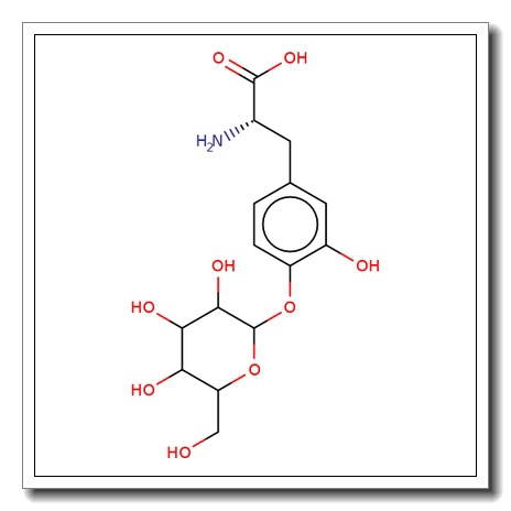 4′-O-(β-D-Glucopyranosyl)-L-DOPA