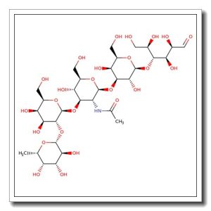 Lacto-N-fucopentaose I-BSA