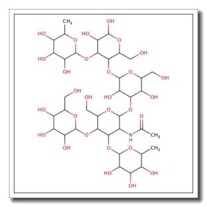 Lacto-N-neodifucohexaose