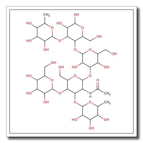 Lacto-N-neodifucohexaose