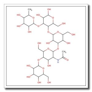 Lacto-N-neofucopentaose