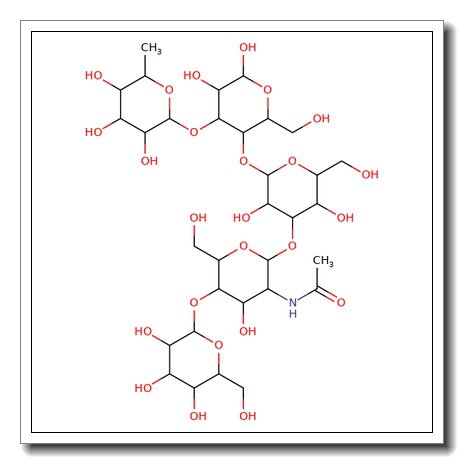 Lacto-N-neofucopentaose
