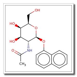1-Naphthyl 2-acetamido-2-deoxy-b-D-galactopyranose