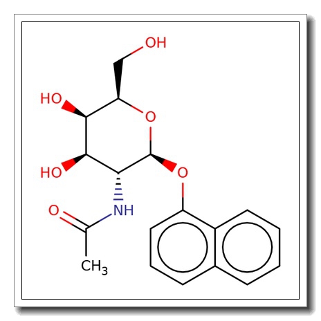 1-Naphthyl 2-acetamido-2-deoxy-b-D-galactopyranose