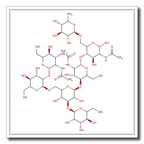 NGA1F N-Glycan