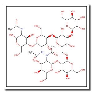 NGA1 N-Glycan