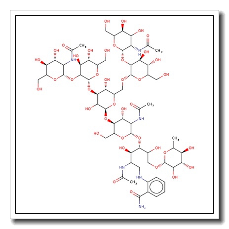 NGA2F Glycan, 2-AB labelled