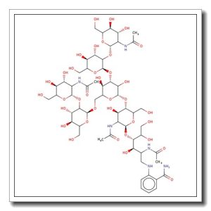 NGA2 Glycan, 2-AB labelled