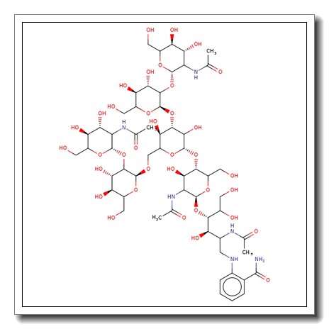 NGA2 Glycan, 2-AB labelled